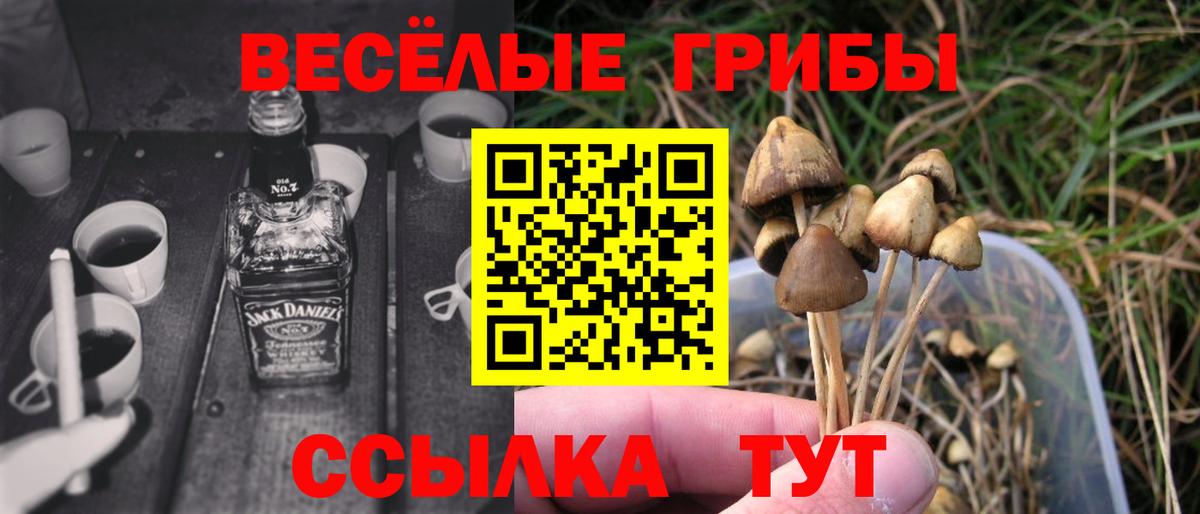 Псилоцибиновые грибы Magic Shrooms Учалы