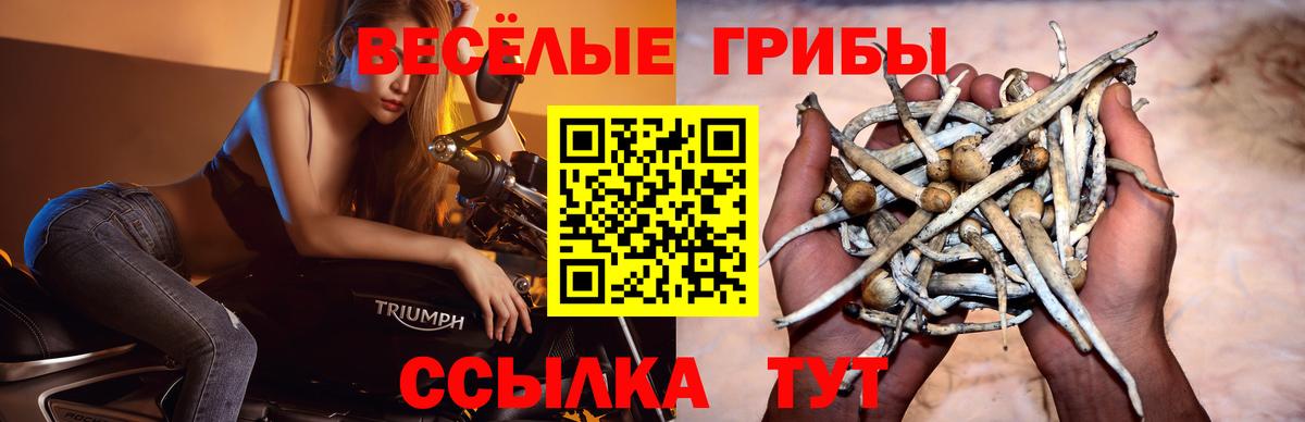 Учалы  купить наркоту  Вход с VPN  Псилоцибиновые грибы Magic Shrooms 